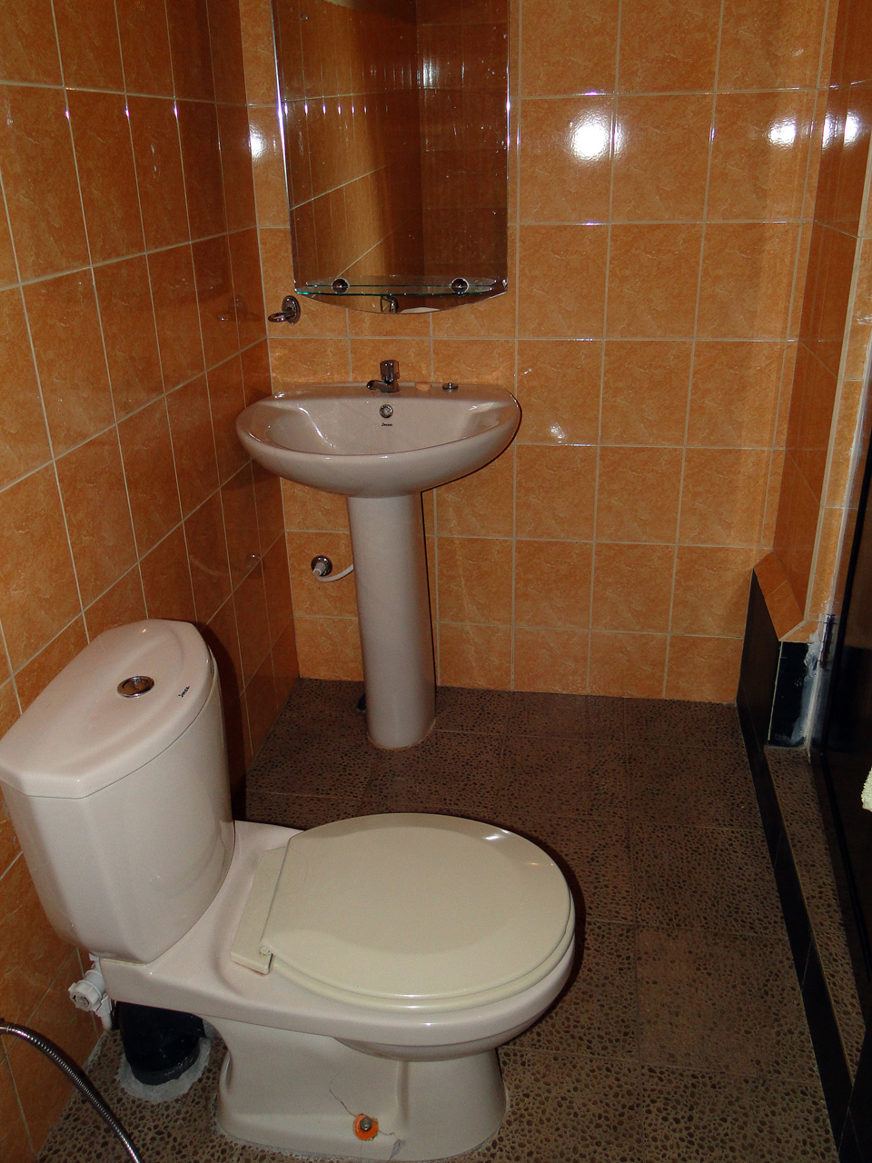 Hier sitzt die Lösung.