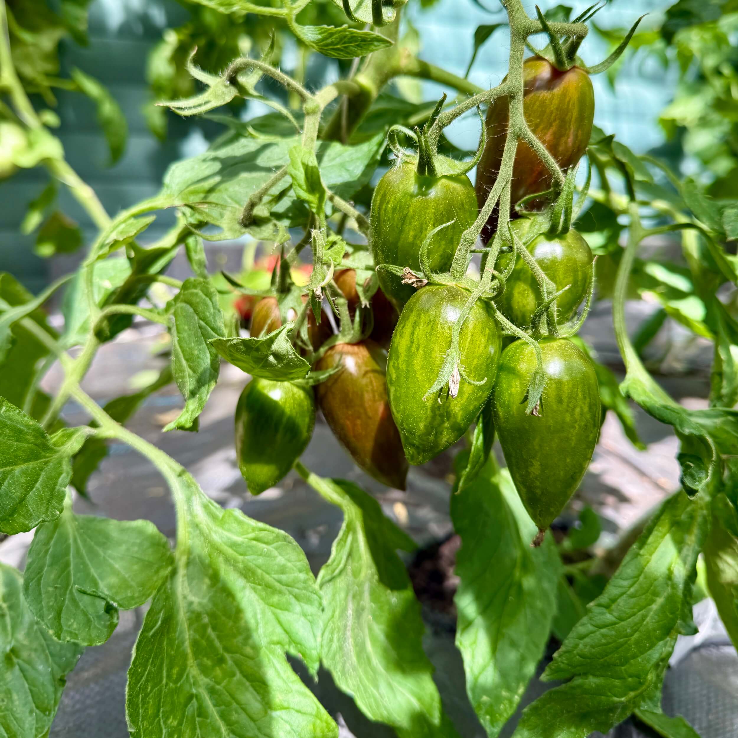 Blick zum Spielvergnügen